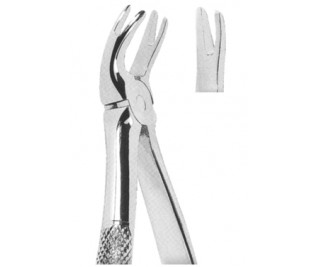 Extracting Forceps English pattern